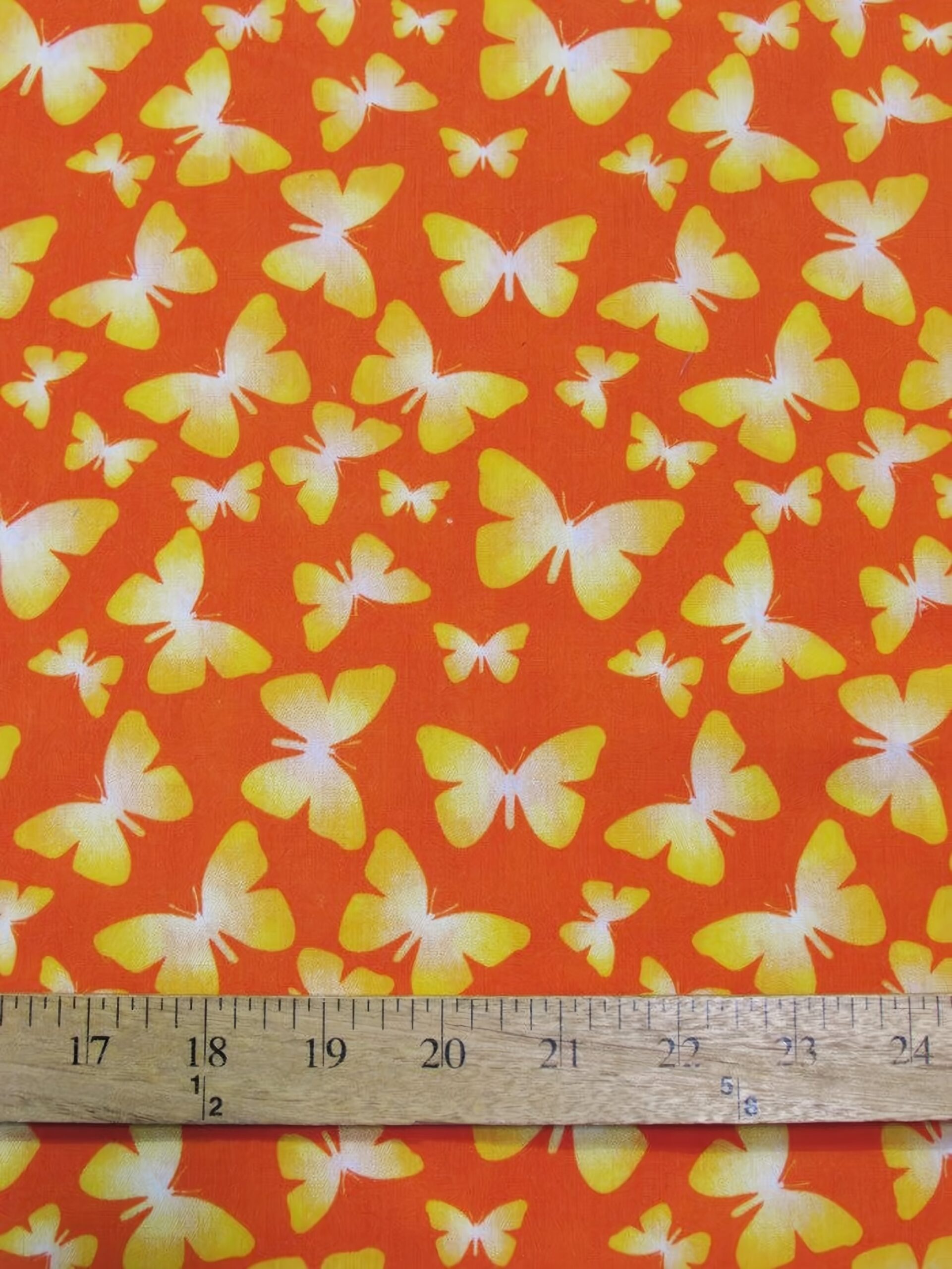TC-BUTTERFLIES-ORANGE